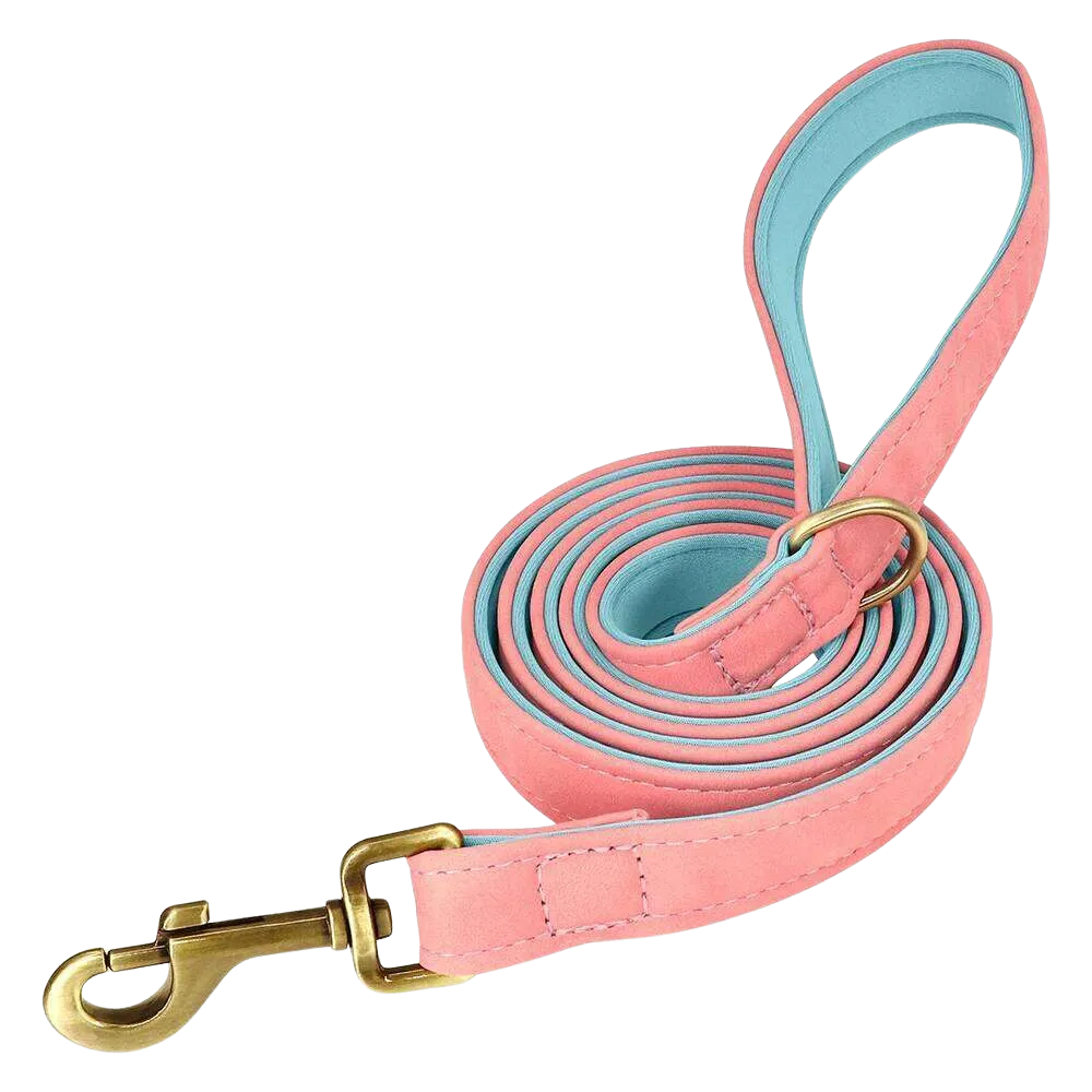 Personalized Dog Collar - Custom Engraved ID Tag