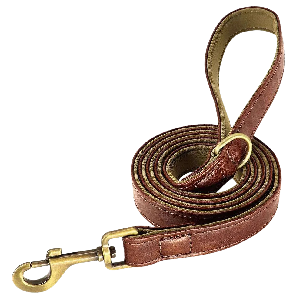 Personalized Dog Collar - Custom Engraved ID Tag