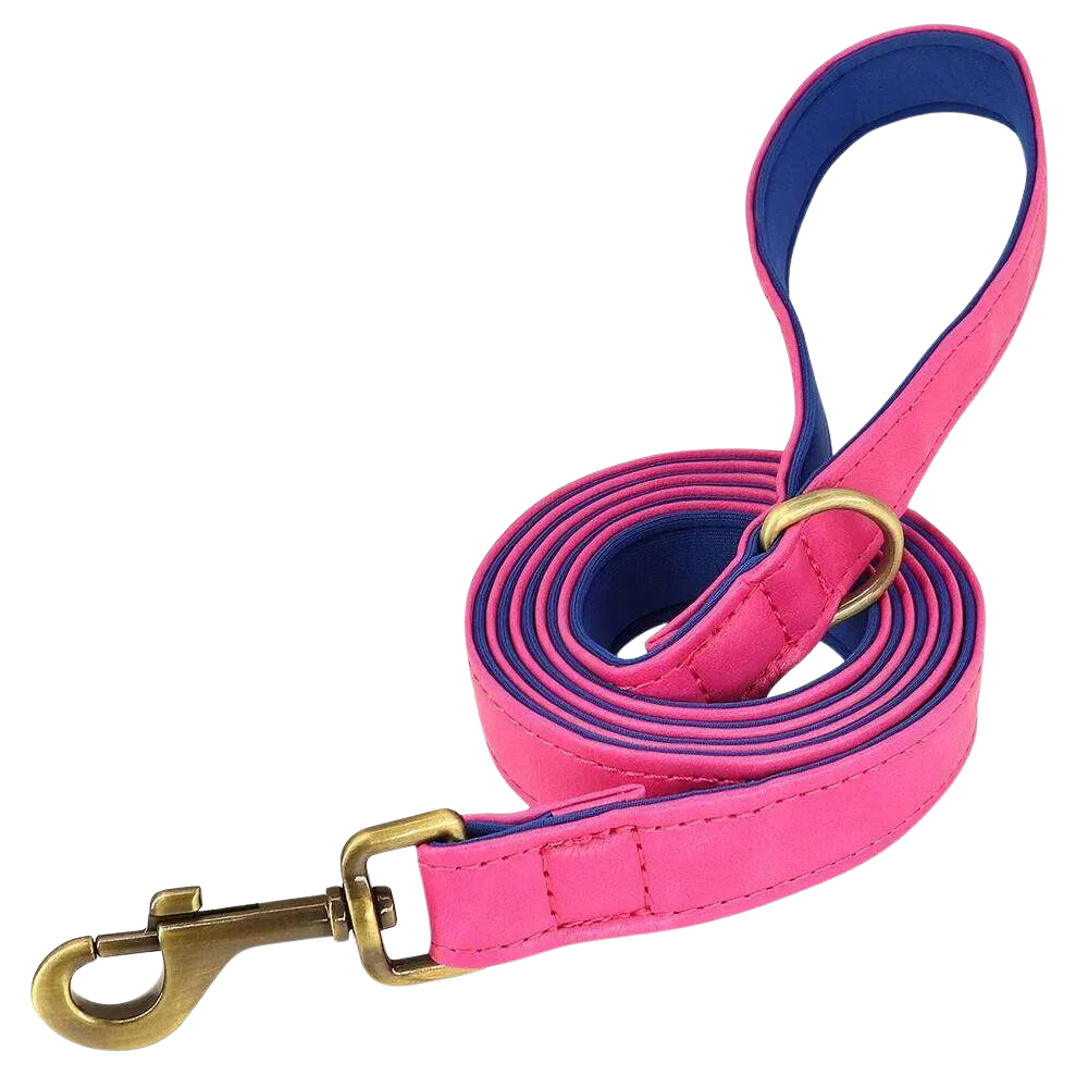 Personalized Dog Collar - Custom Engraved ID Tag