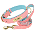 Personalized Dog Collar - Custom Engraved ID Tag