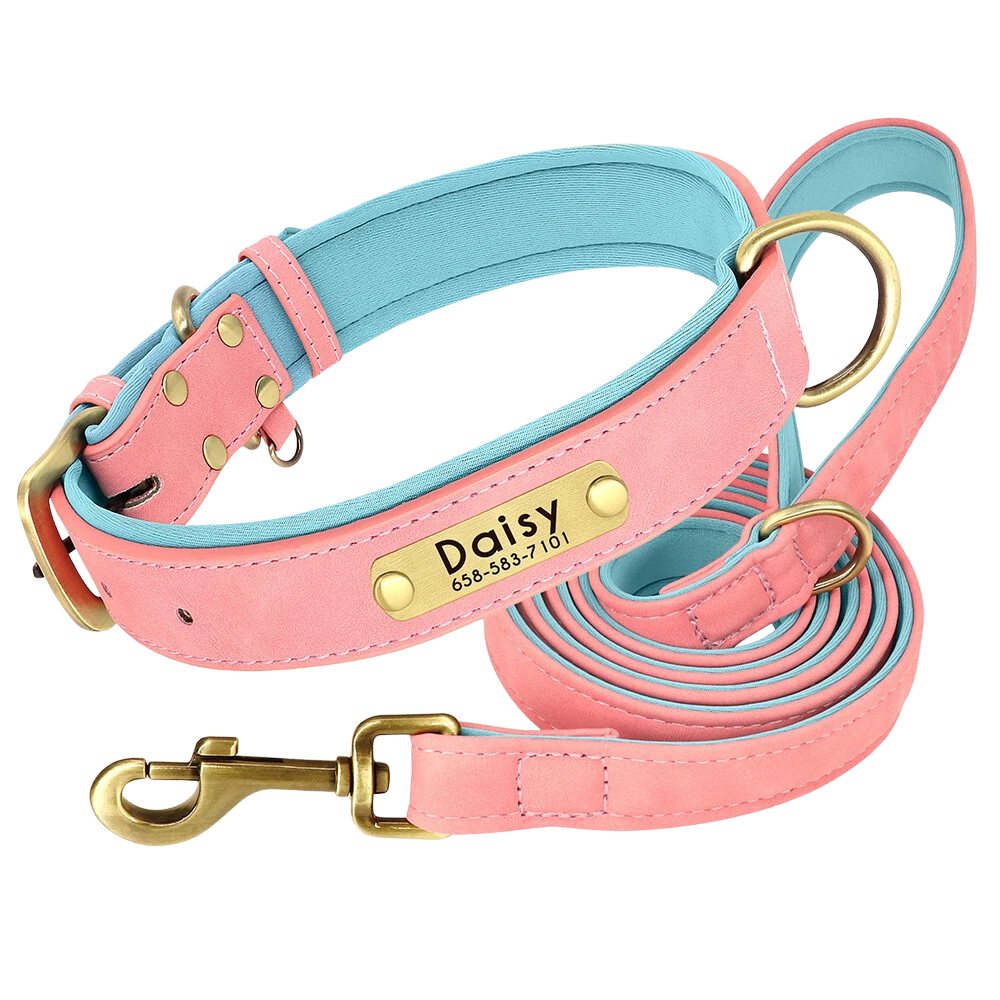 Personalized Dog Collar - Custom Engraved ID Tag