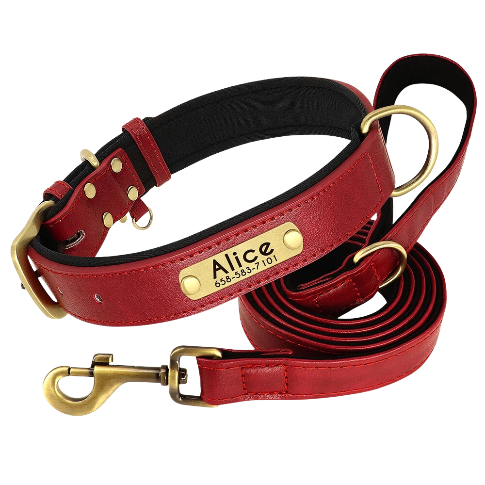 Personalized Dog Collar - Custom Engraved ID Tag