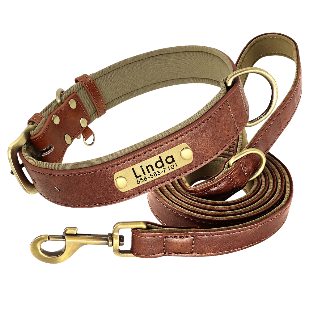 Personalized Dog Collar - Custom Engraved ID Tag