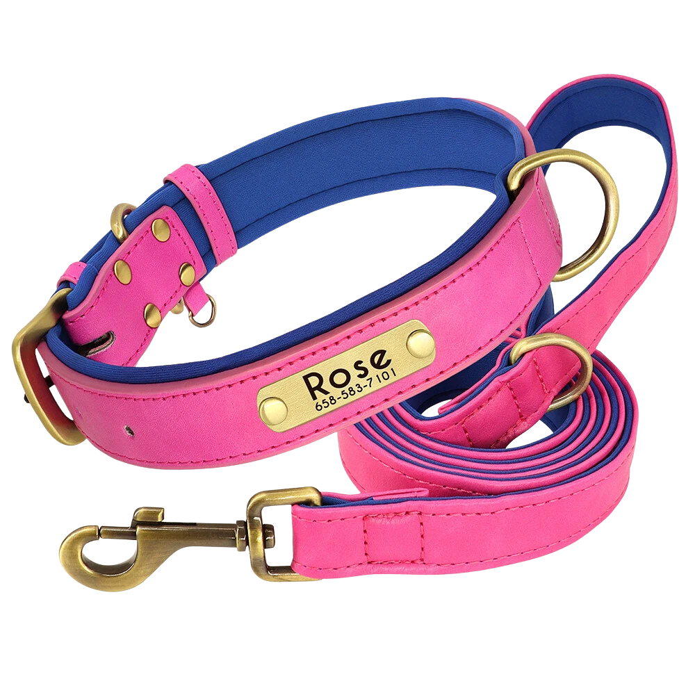Personalized Dog Collar - Custom Engraved ID Tag