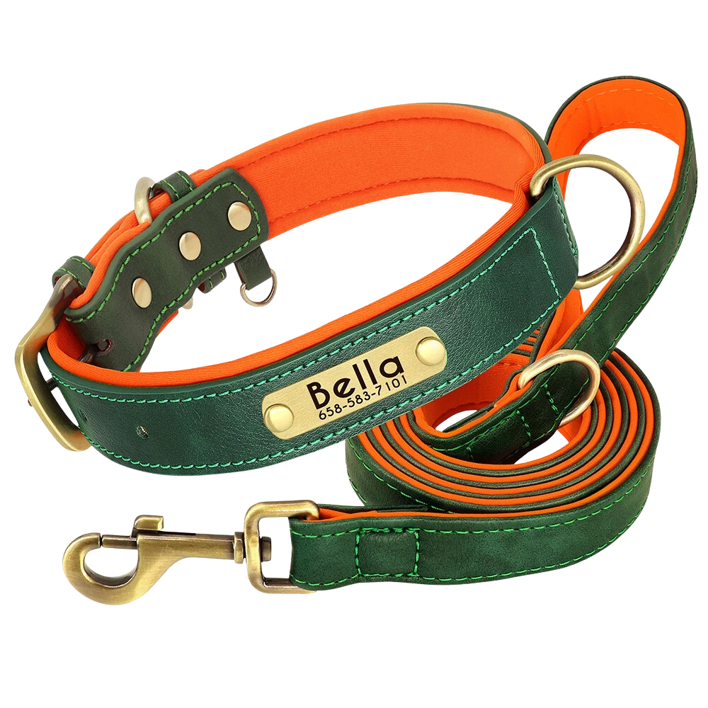 Personalized Dog Collar - Custom Engraved ID Tag