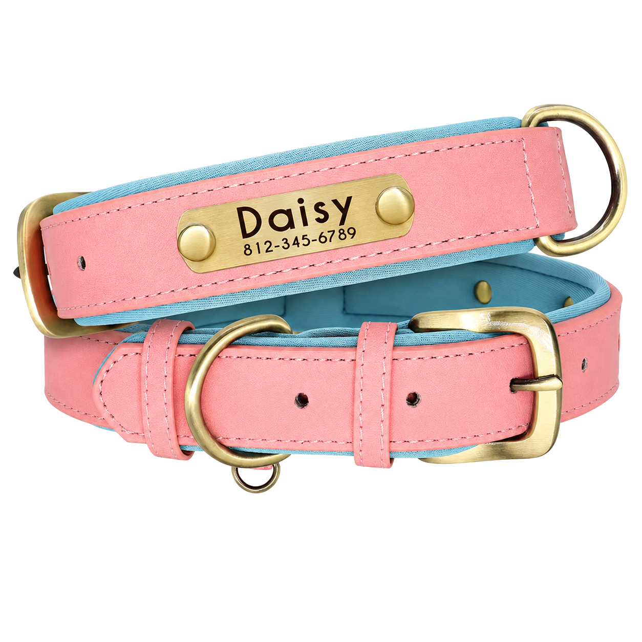 Personalized Dog Collar - Custom Engraved ID Tag