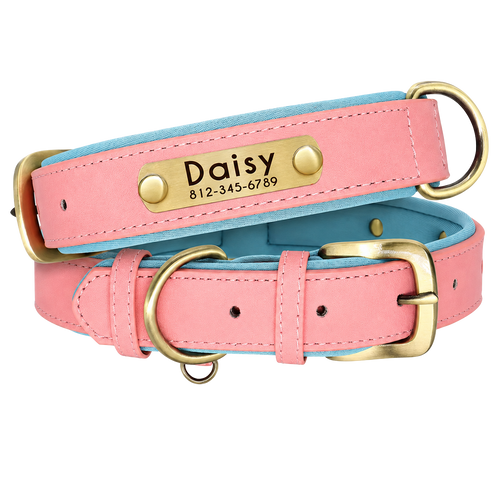 Personalized Dog Collar - Custom Engraved ID Tag