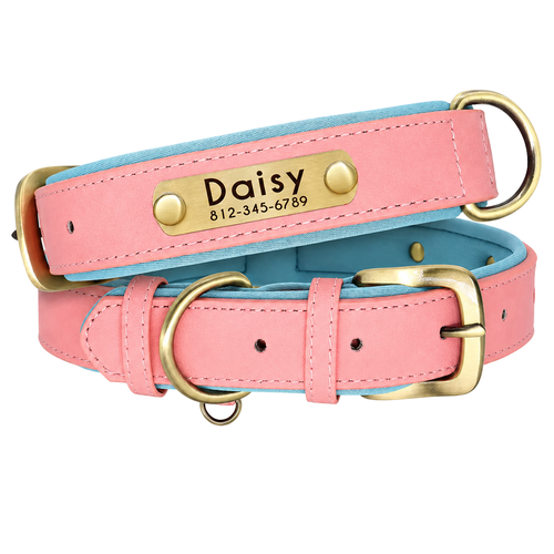Personalized Dog Collar — Custom Engraved ID Tag