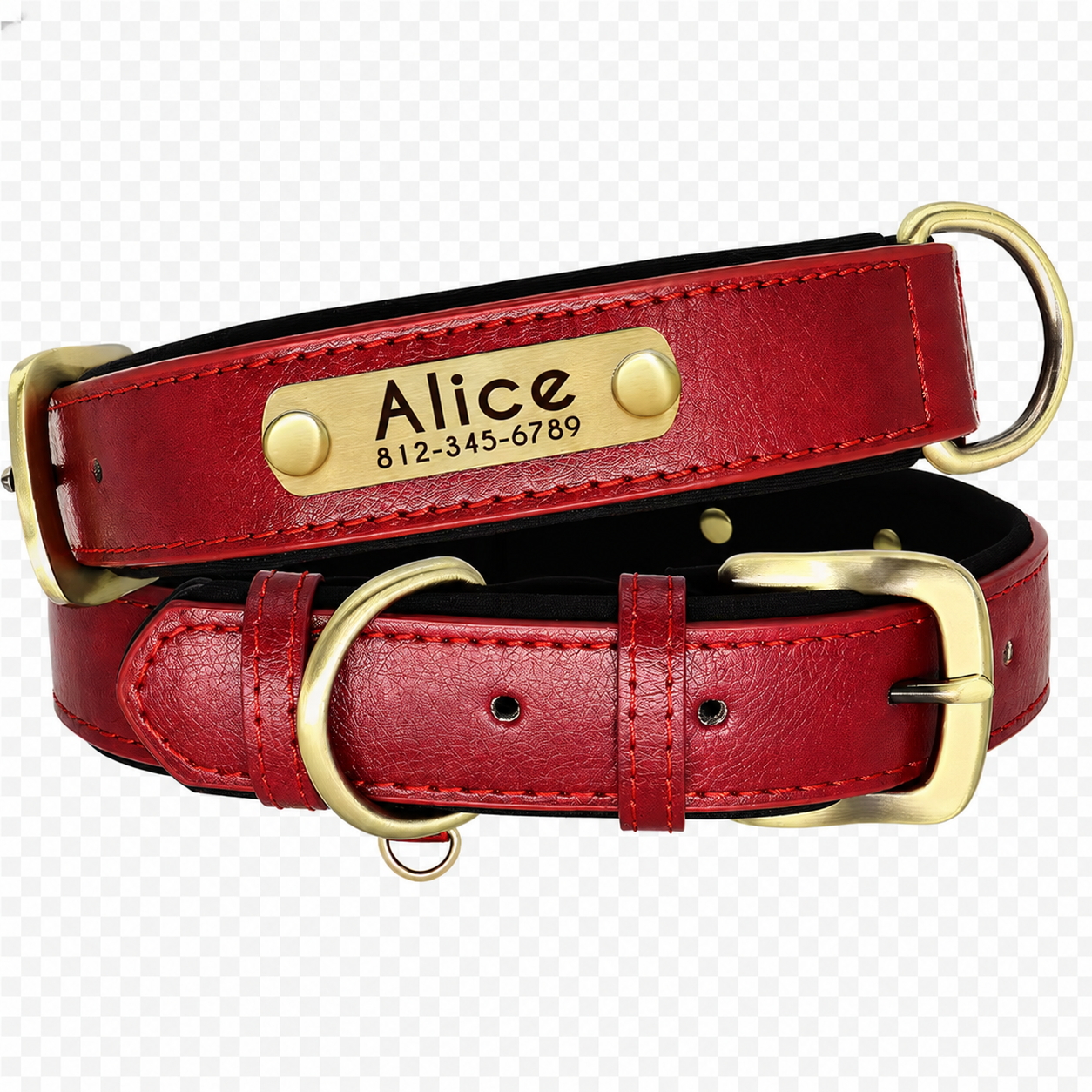 Personalized Dog Collar — Custom Engraved ID Tag