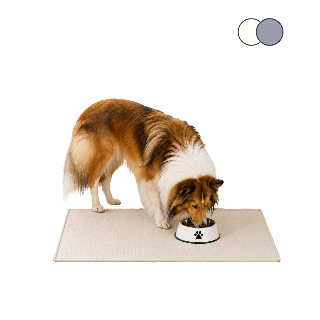 Paw Print Steel Bowl — Non-Slip Stainless Feeding Bowl