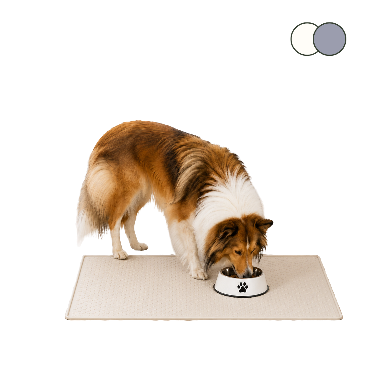 Paw Print Steel Bowl — Non-Slip Stainless Feeding Bowl