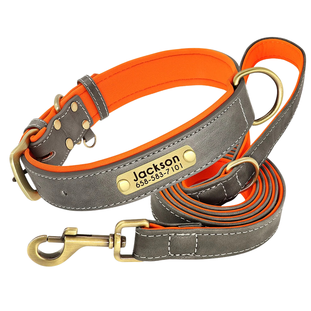 Personalized Dog Collar - Custom Engraved ID Tag