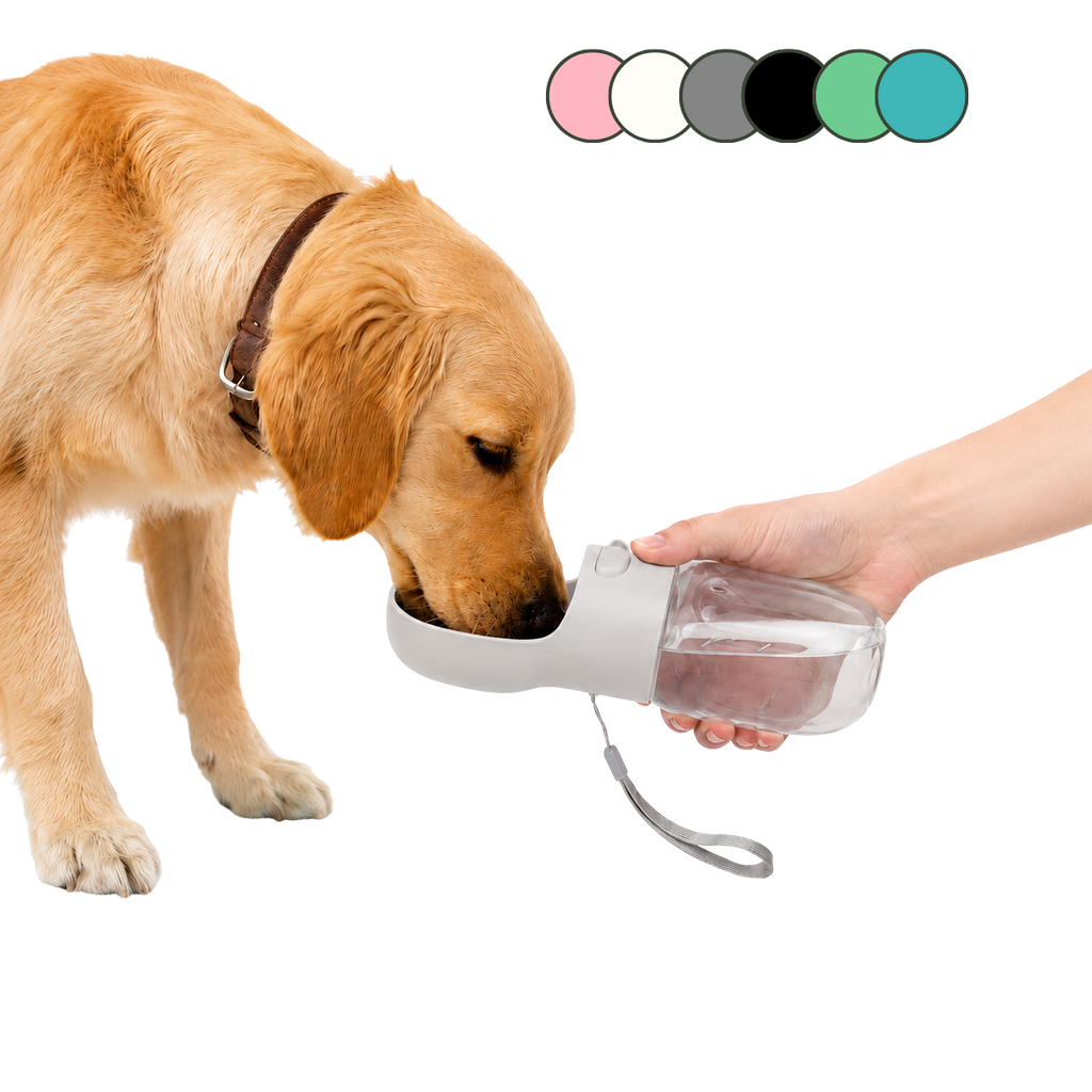 Portable Dog Water Bottle — Leak-Proof Travel Dispenser