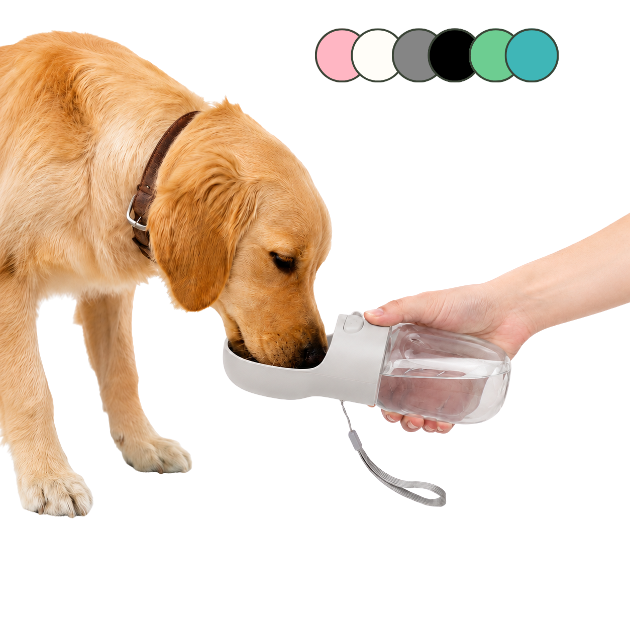 Portable Dog Water Bottle — Leak-Proof Travel Dispenser