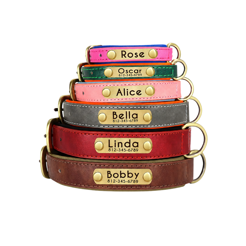 Personalized Dog Collar — Custom Engraved ID Tag